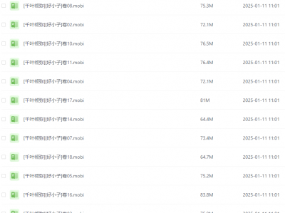 《好小子》漫画 18卷全 作者：千叶彻弥 分类：热血 格斗